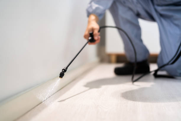 Licensed Termite Control service in Bellevue, MI - Nex Pest Control