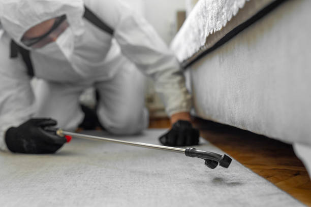 Professional Termite Control technician working in Bellevue, MI