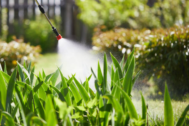 24/7 Emergency Termite Control experts in Bellevue, MI