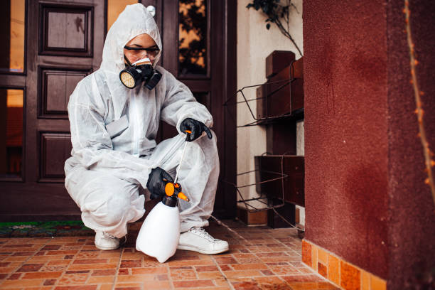 Reliable Termite Control contractor in Bellevue, MI by Nex Pest Control