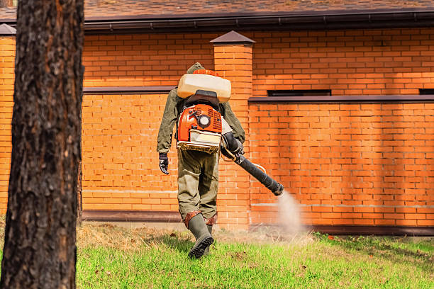 Top rated local Termite Control specialists in Bellevue, MI